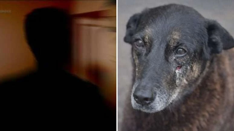 Pai de jovem investigado pela morte de Orelha pede.webp