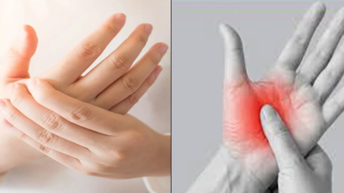 Saiba o que isso pode significar.webp