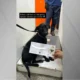Cachorra foge em Congonhas e paralisa aeroporto por quase.webp