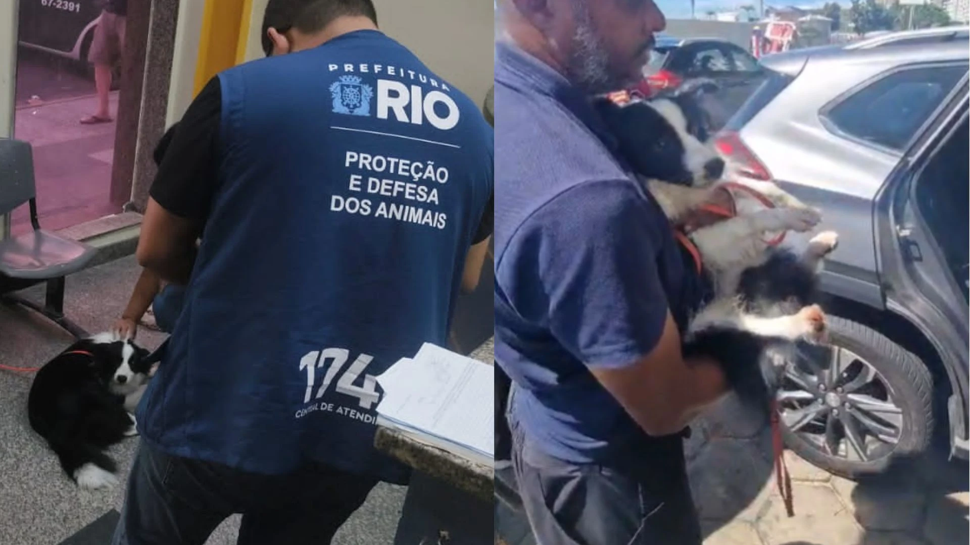 Cachorro e resgatado apos ser abandonado dentro de carro.webp