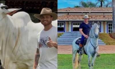 Eduardo Costa e Gustavo Tubarao compram vaca de avaliada em