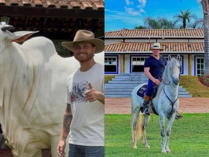 Eduardo Costa e Gustavo Tubarao compram vaca de avaliada em