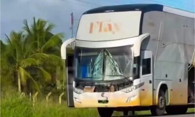 Onibus de famosa cantora se envolve em acidente e ela