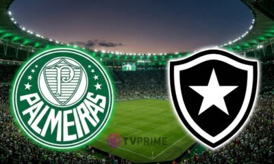 Palmeiras x Botafogo onde assistir ao vivo o jogo do