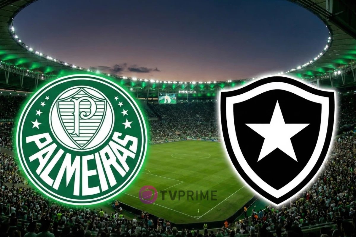 Palmeiras x Botafogo onde assistir ao vivo o jogo do