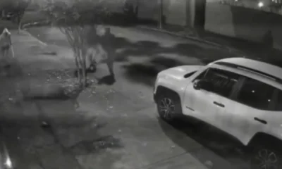 Seis homens sao presos apos atacarem uma capivara a pauladas.webp