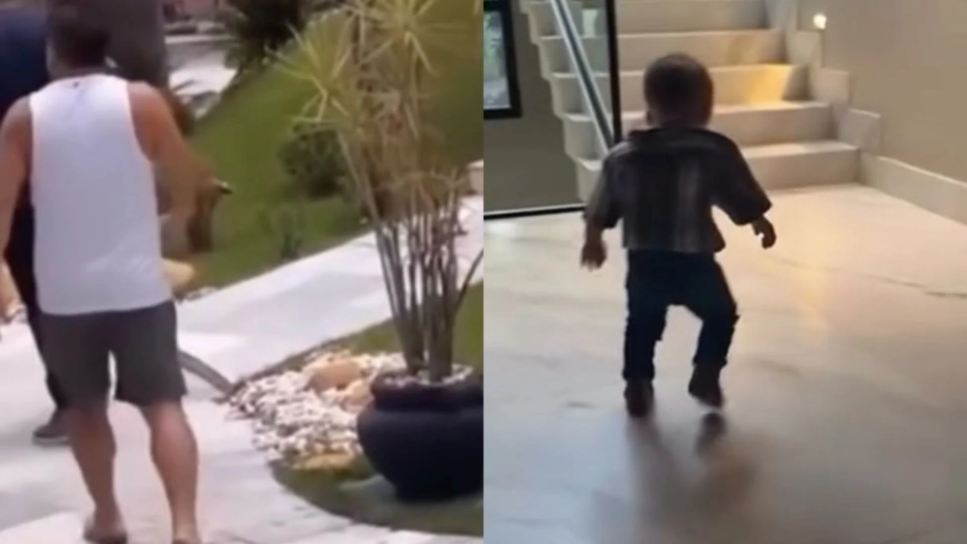 Web compara e se diverte com jeito de andar.webp