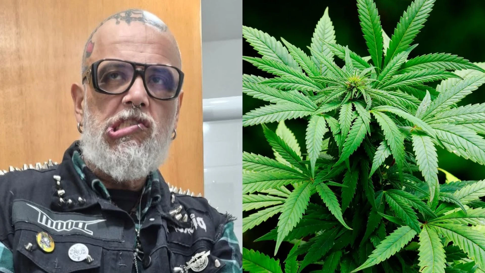 entenda lei sobre porte de drogas.webp