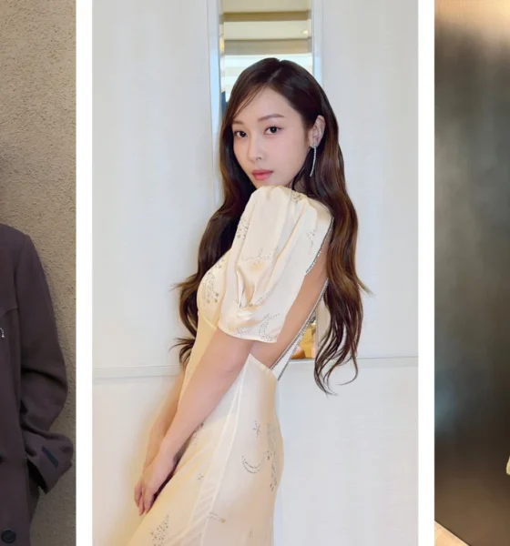 relembre idols que sairam dos grupos.webp