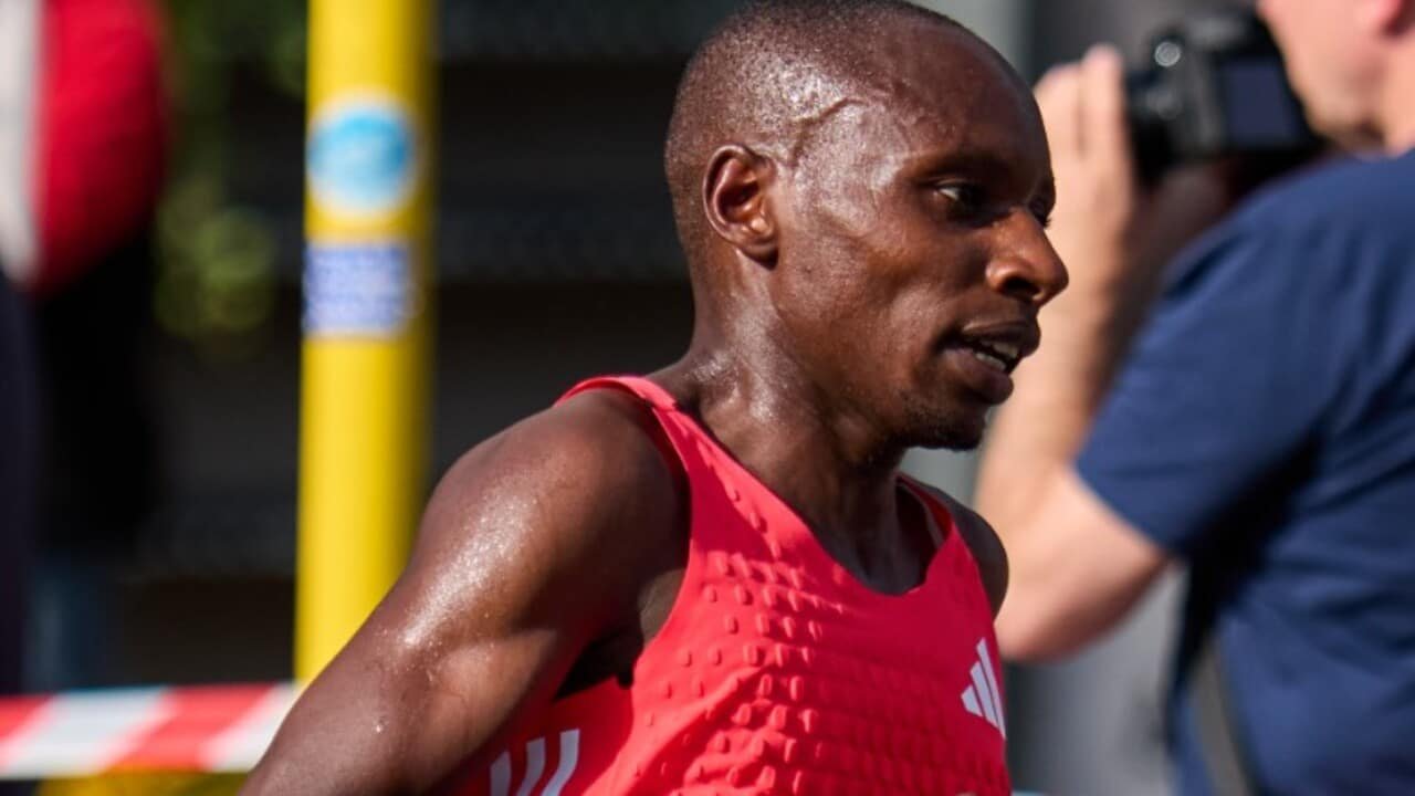 Acoes da Adidas disparam apos recorde historico em maratona com