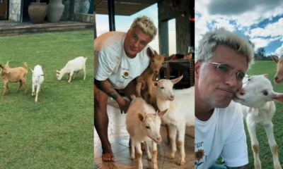 Bruno Gagliasso mostra mini cabras que ganhou de aniversario.webp