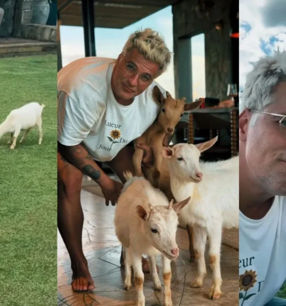 Bruno Gagliasso mostra mini cabras que ganhou de aniversario.webp