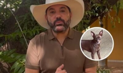 Caozinho do cantor Edson e encontrado morto apos desaparecer Parte