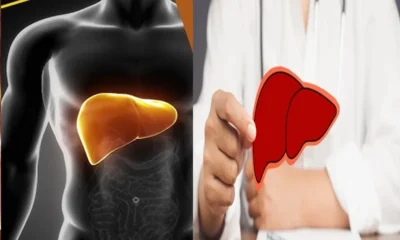 Cinco alimentos que ajudam a proteger o figado e.webp