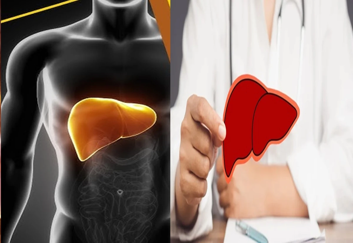 Cinco alimentos que ajudam a proteger o figado e.webp