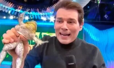 Esse e o valor que o SBT pode desembolsar por