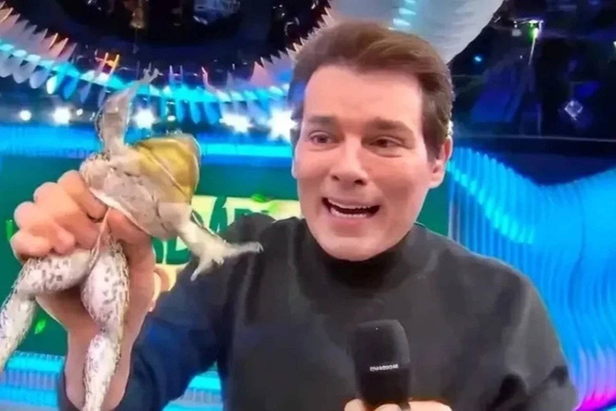 Esse e o valor que o SBT pode desembolsar por