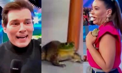 Foi isso que fizeram com a ra no programa do