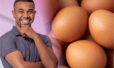 Investindo em ovos Davi Brito manda recado ‘Estou igual a