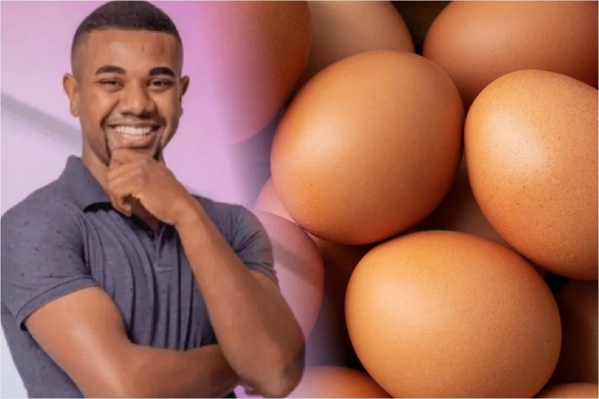 Investindo em ovos Davi Brito manda recado ‘Estou igual a