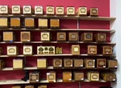 Rinhas e maus tratos com animais levam 49 para a.webp