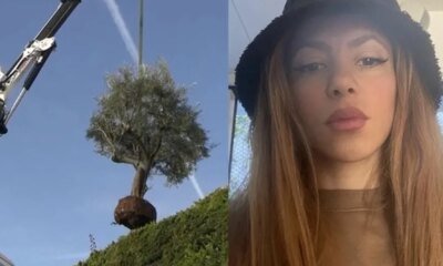 Shakira levou ate arvore de mansao na Espanha em divorcio