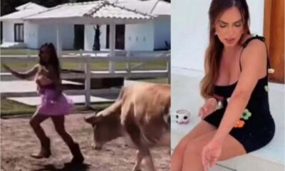 Video Nicole Bahls e atacada por vaca enquanto recebia a