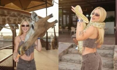 Flores safari e negocios saiba como esta sendo a viagem