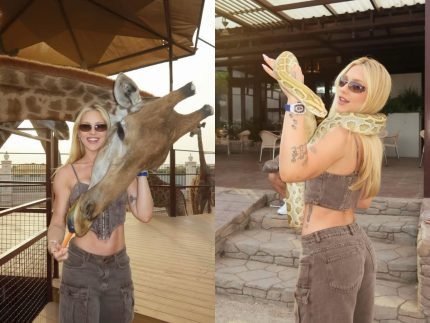 Flores safari e negocios saiba como esta sendo a viagem