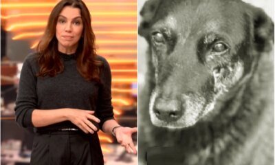 Foi isso que Ana Paula Araujo falou ao vivo na