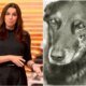 Foi isso que Ana Paula Araujo falou ao vivo na