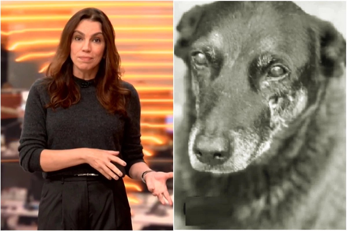 Foi isso que Ana Paula Araujo falou ao vivo na