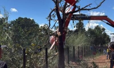 Helicoptero de Henrique e Juliano faz pouso forcado em fazenda