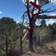 Helicoptero de Henrique e Juliano faz pouso forcado em fazenda