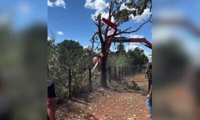 Helicoptero pilotado pelo pai de Henrique amp Juliano cai e