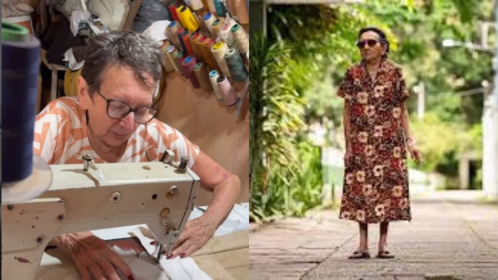 Tania Maria volta a vida de artesa apos sucesso.webp
