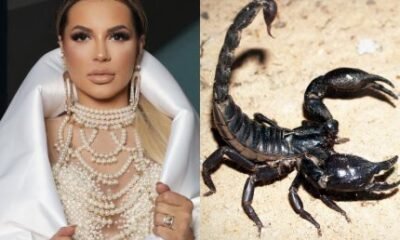 Escorpioes e pratos usados para necessidades fisiologicas rotina de Deolane