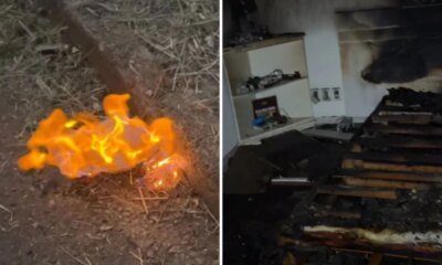 Este foi o motivo que levou esposa de Regis Danese