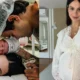 Sthefany Brito explica laqueadura apos 3o filho Metodo mais.webp
