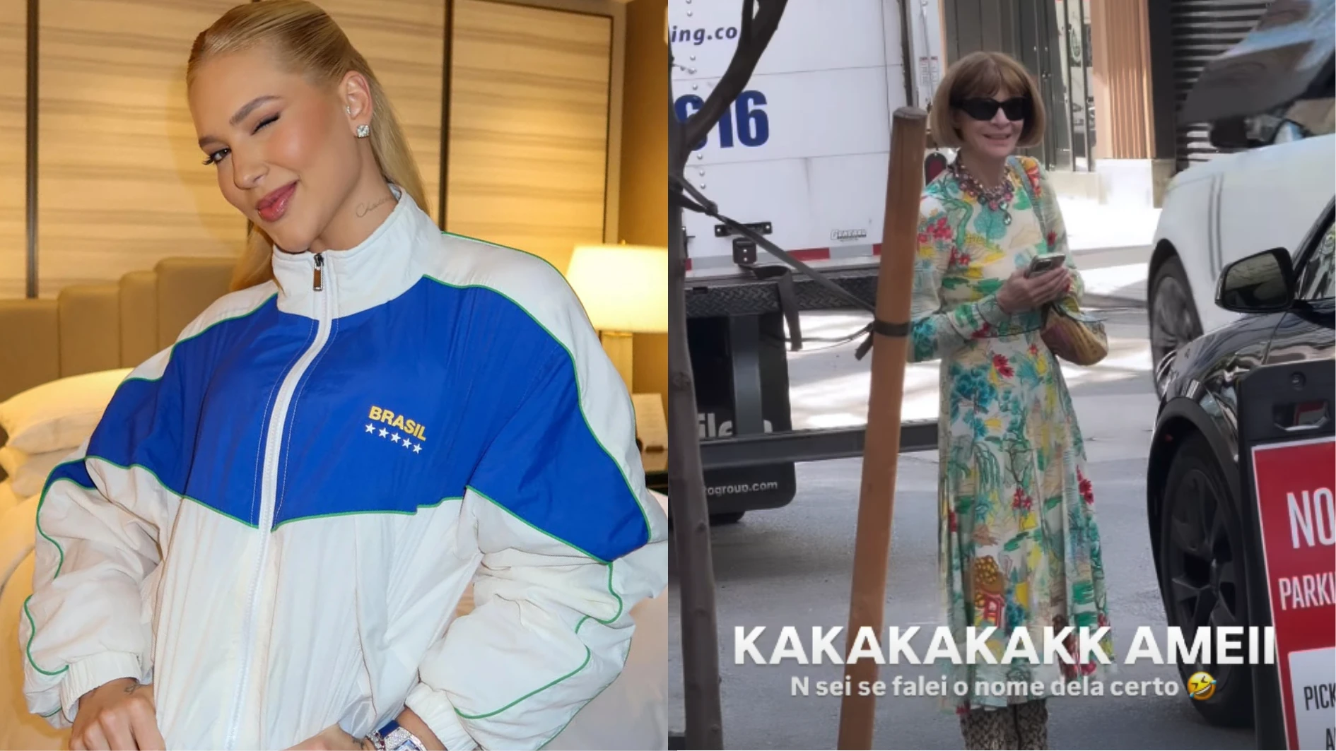 Virginia ve Anna Wintour na rua Nao sei se falei.webp