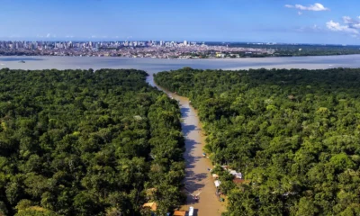 meio ambiente e o custo crescente da omissao.webp