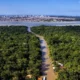 meio ambiente e o custo crescente da omissao.webp