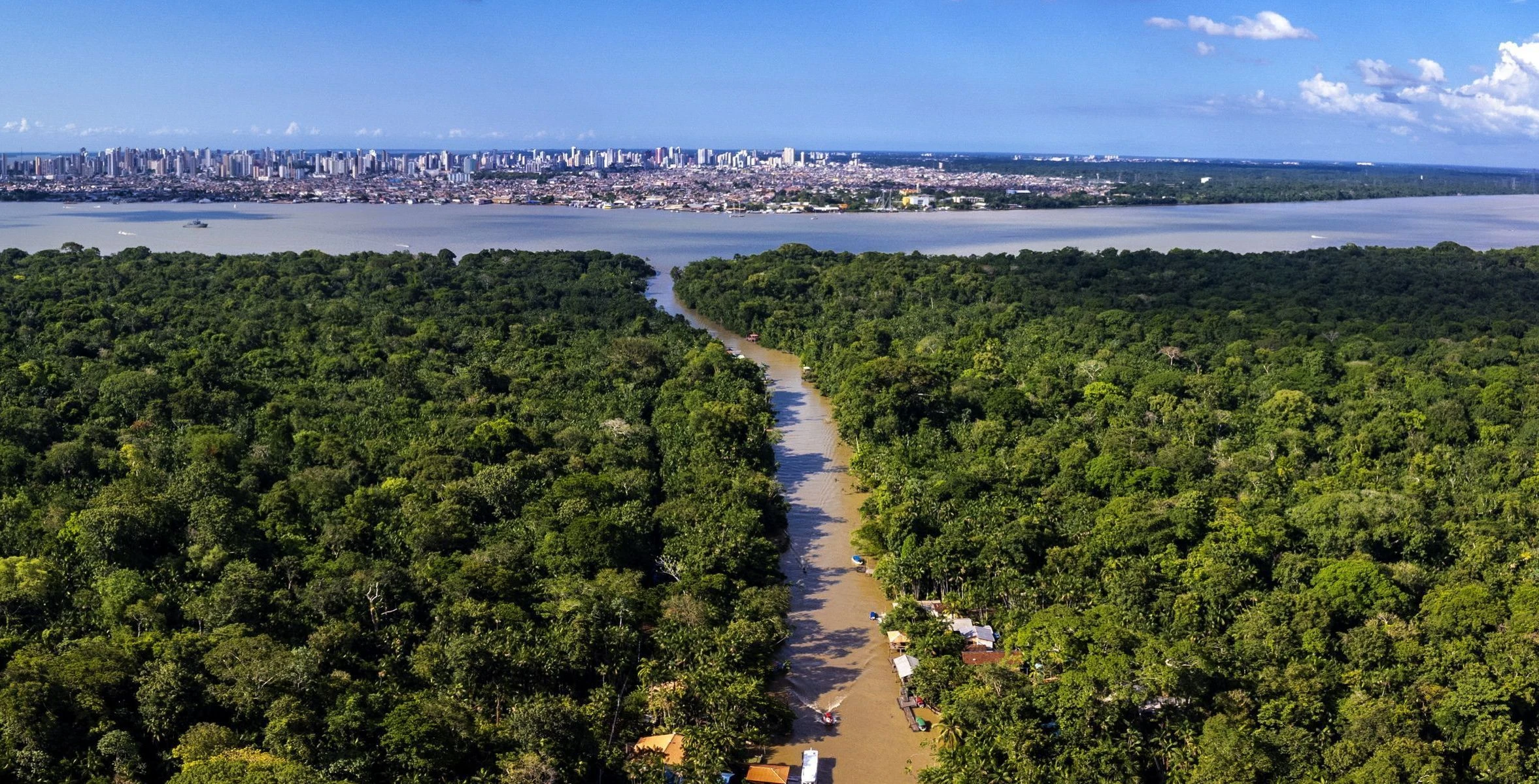 meio ambiente e o custo crescente da omissao.webp