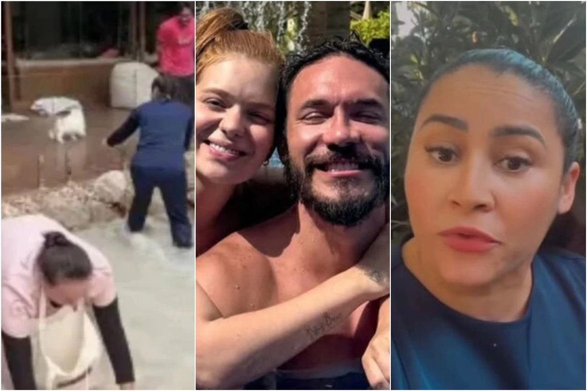 Apos reality causar polemica funcionarias de Viih Tube se manifestam