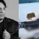 Filho do cantor Neto Araujo sofre acidente a caminho do