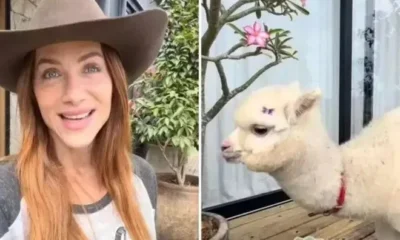Giovanna Ewbank da animal inusitado de presente para o.webp