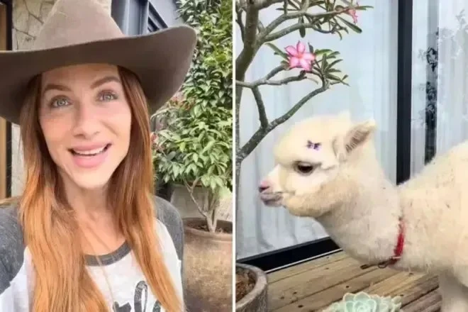 Giovanna Ewbank da animal inusitado de presente para o.webp