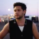 Niall Horan se desculpa com fas argentinos apos curtir.webp