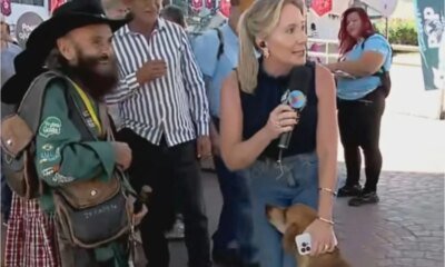 Video ao vivo cachorro caramelo ‘devora equipamento de jornalista do