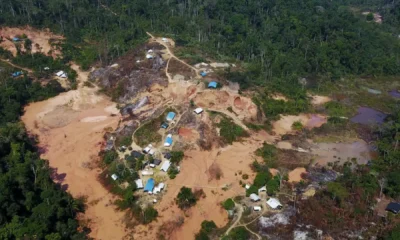 Amazonas tem maior numero de terras indigenas sob pressao.webp